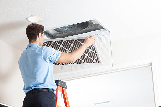 Best Air Filters and Purifiers in Ashtabula, OH